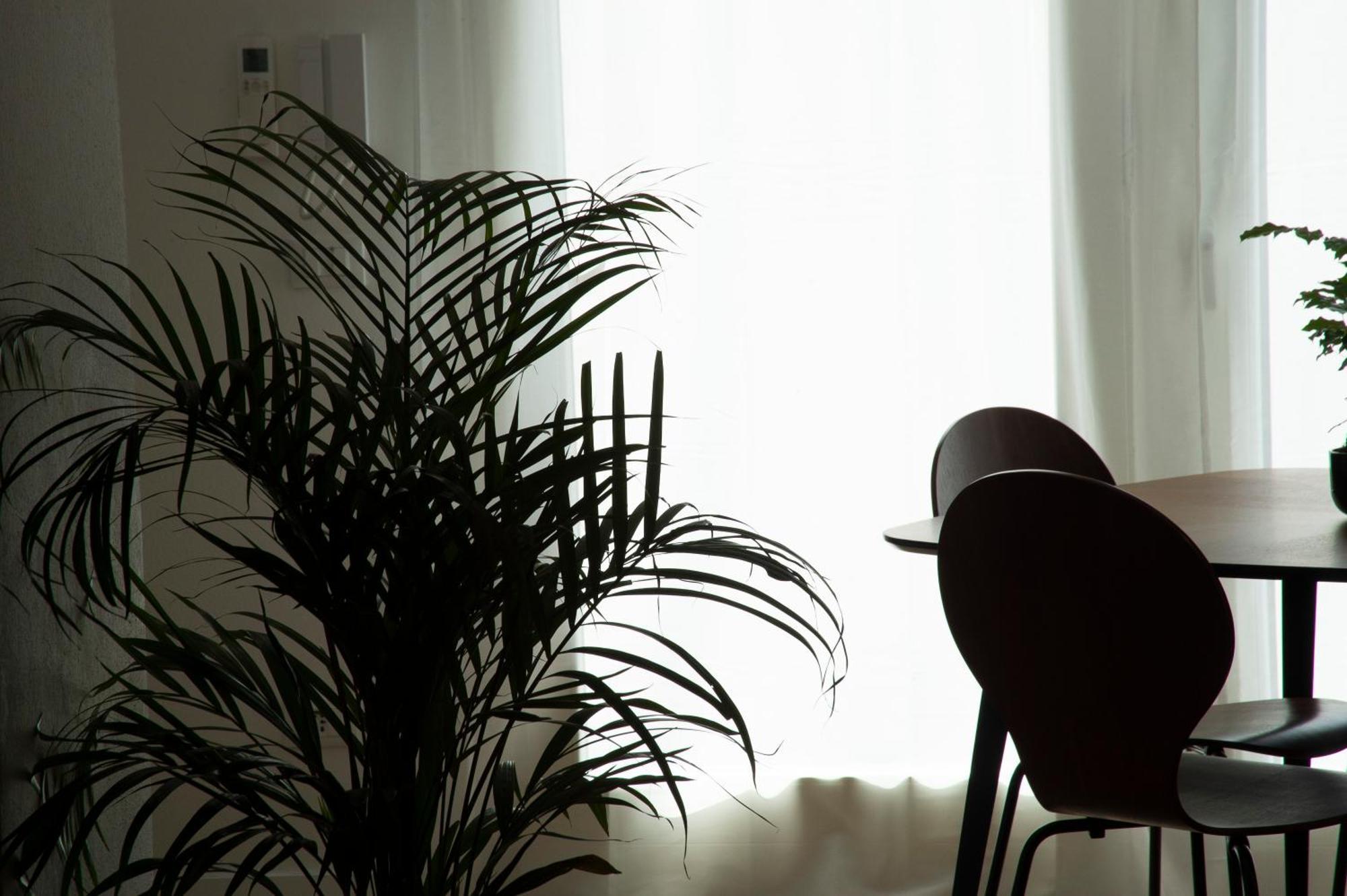 Ca Glera - Vintage Design Apartment 레비네라고 외부 사진